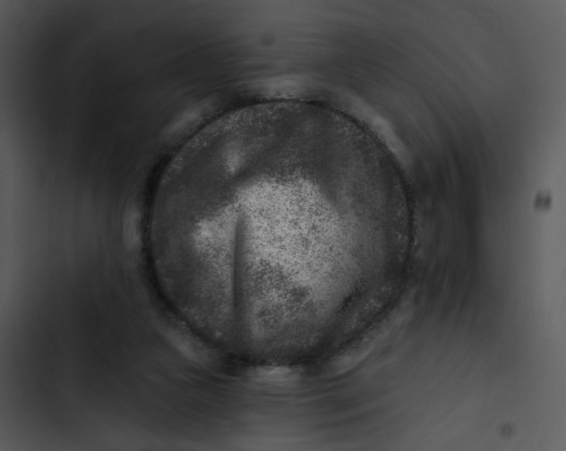 X0000102830161200809081204