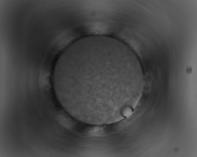 X0000102830162200809081204