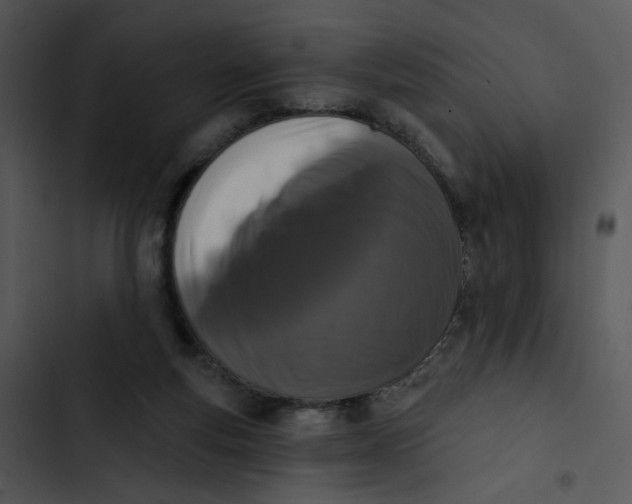 X0000102830163200809081204