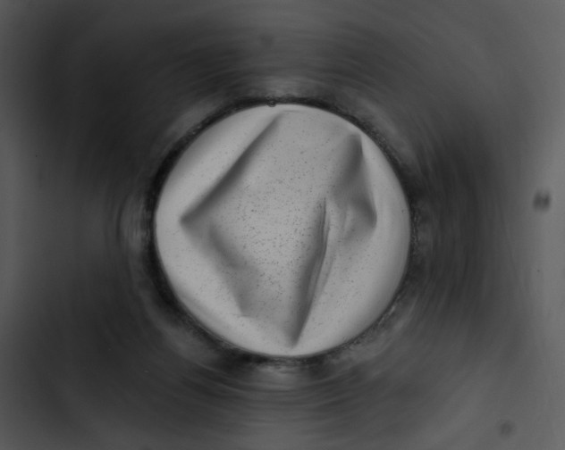 X0000102830164200809081204