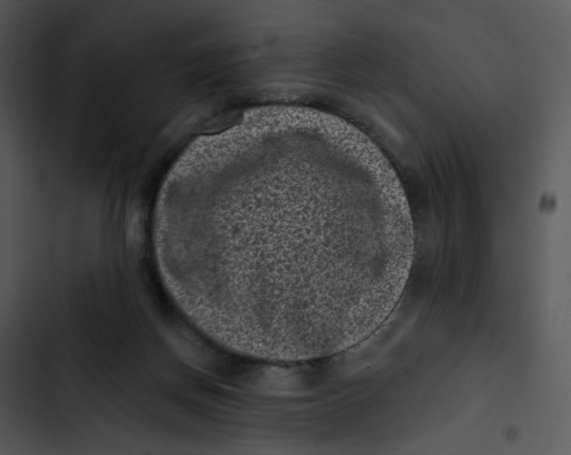 X0000102830166200809081204