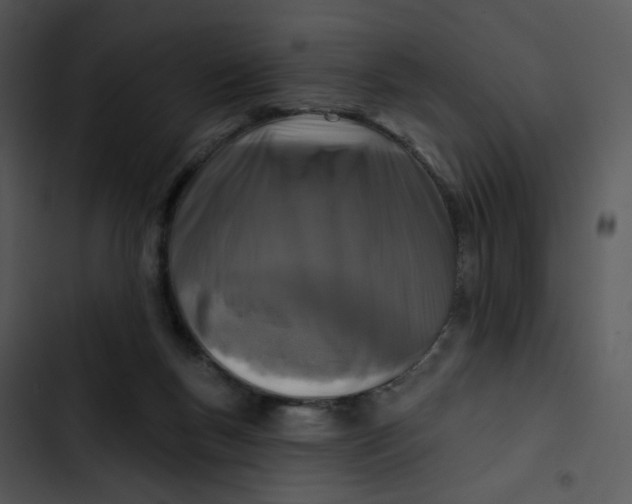 X0000102830167200809081204
