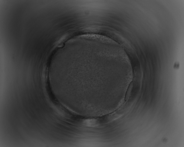 X0000102830168200809081204
