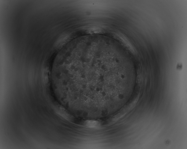 X0000102830169200809081204