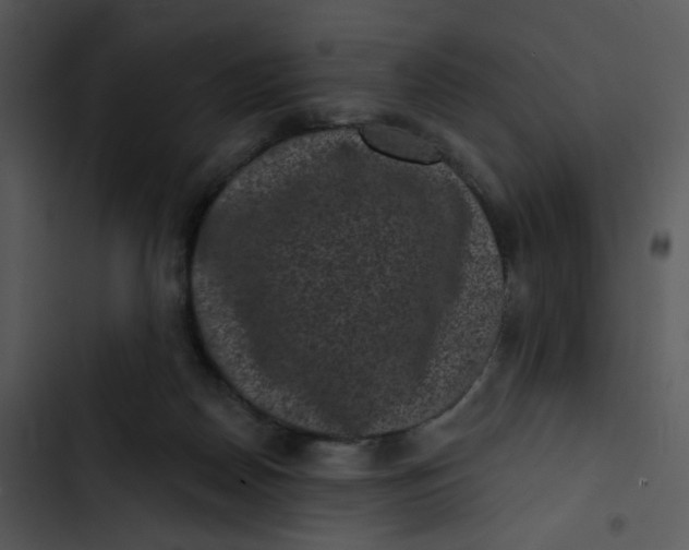 X0000102830170200809081204