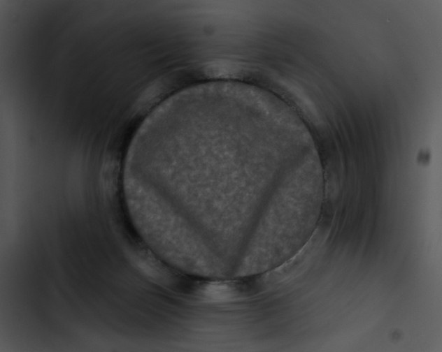 X0000102830171200809081204