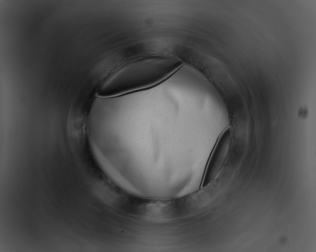X0000102830172200809081204