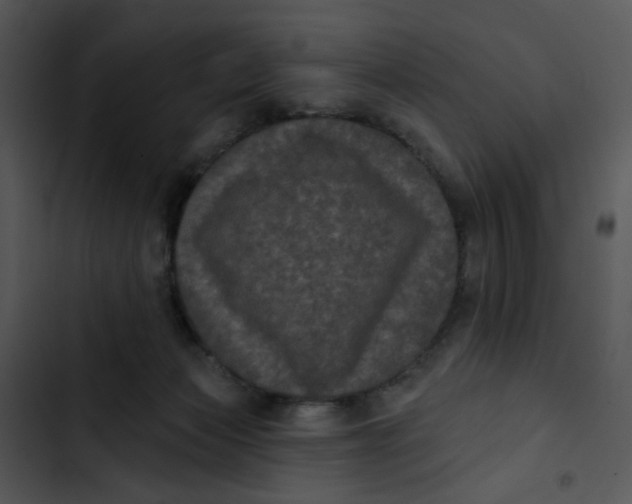 X0000102830173200809081204