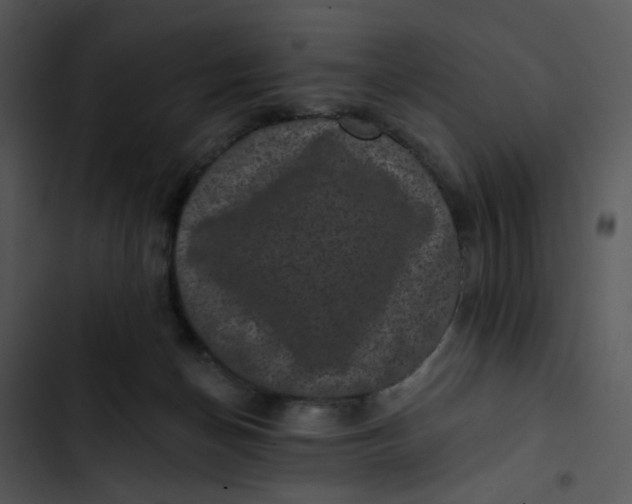 X0000102830174200809081204
