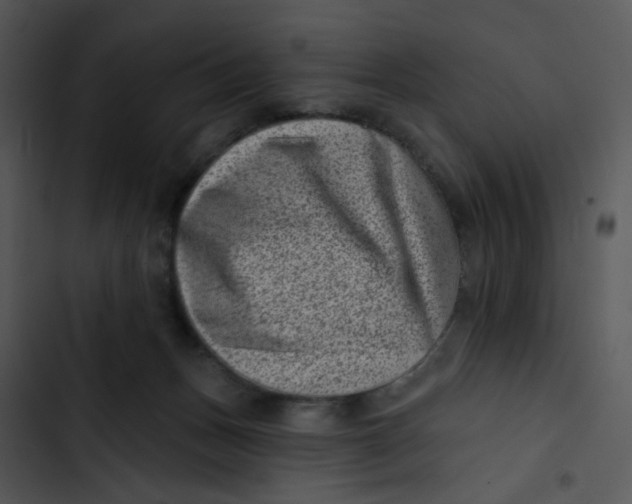 X0000102830175200809081204