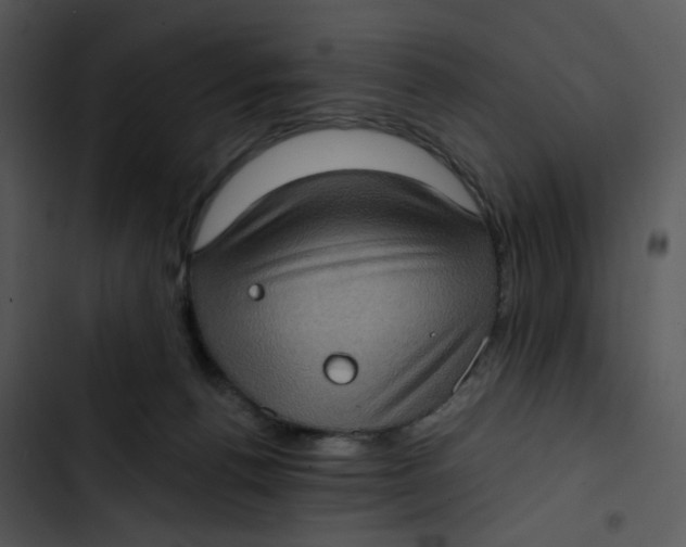X0000102830176200809081204