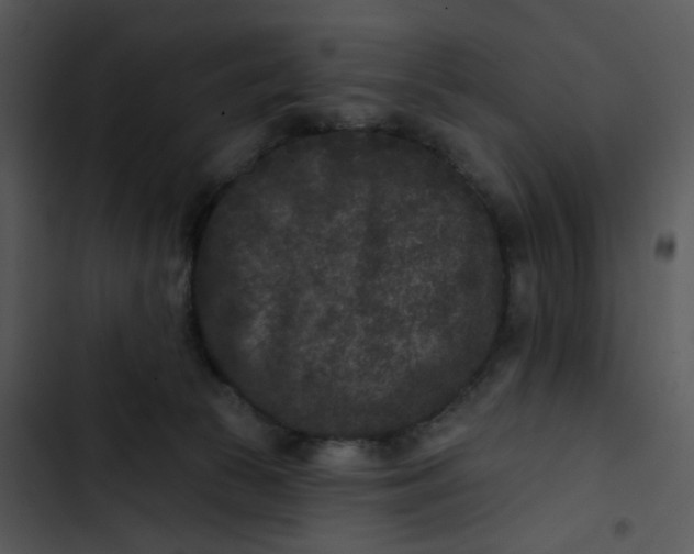 X0000102830177200809081204