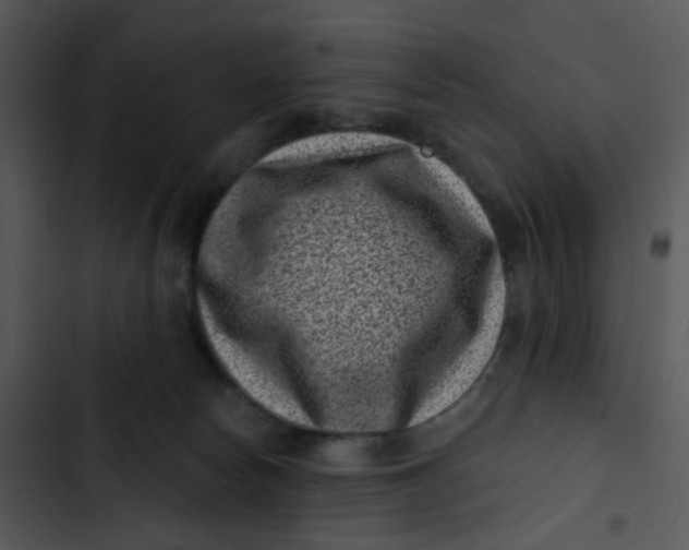 X0000102830178200809081204