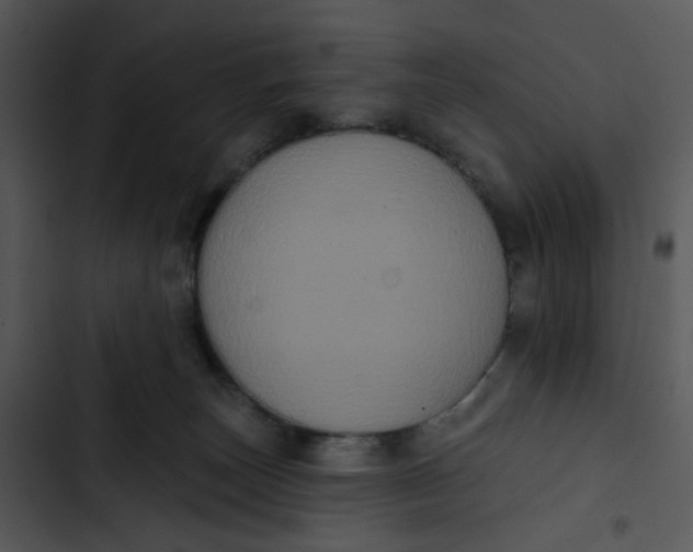 X0000102830179200809081204