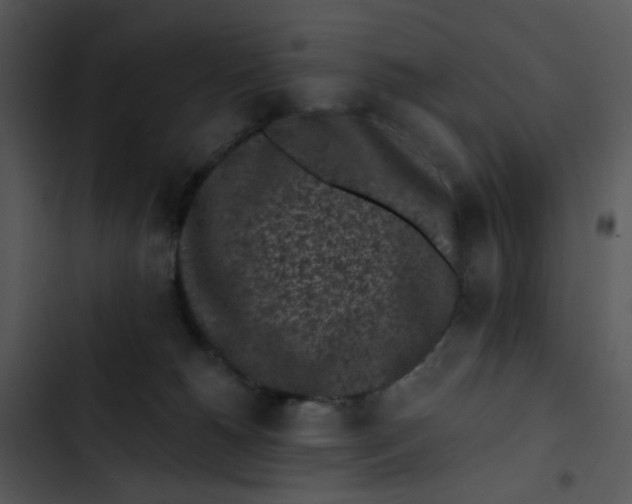 X0000102830180200809081204