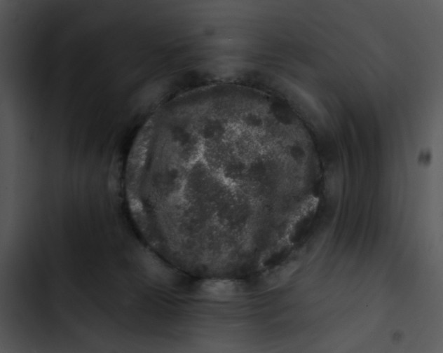 X0000102830181200809081204