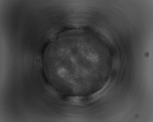 X0000102830182200809081204