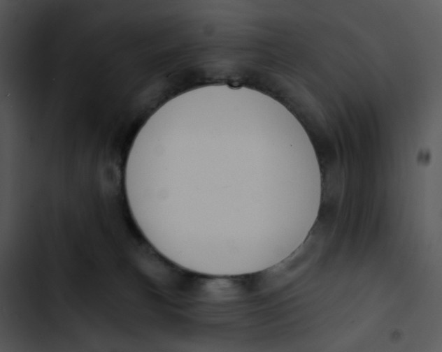 X0000102830183200809081204