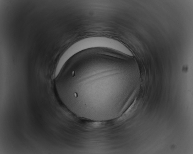 X0000102830184200809081204