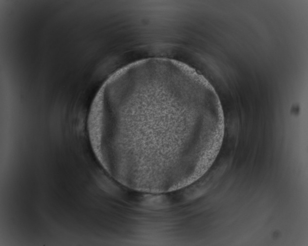 X0000102830185200809081204