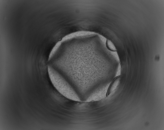 X0000102830186200809081204