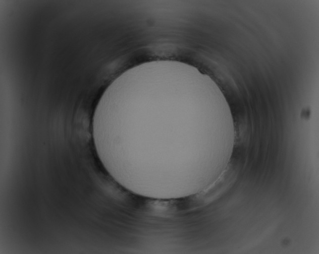 X0000102830187200809081204