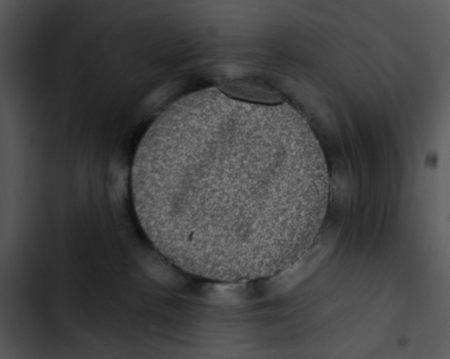 X0000102830188200809081204