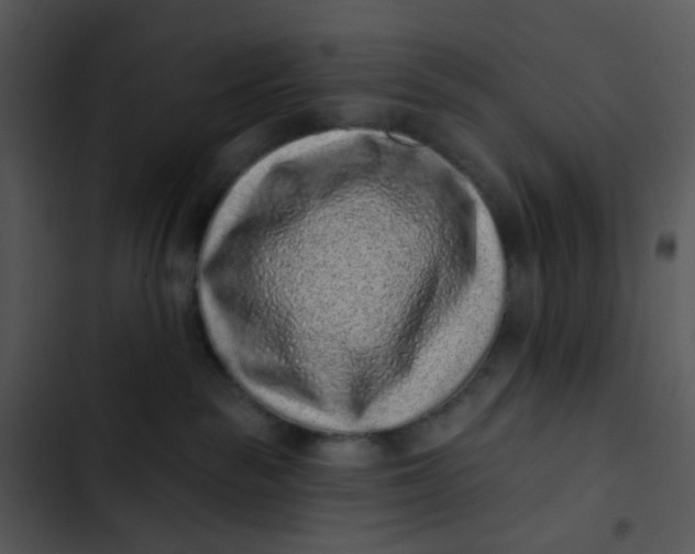 X0000102830189200809081204