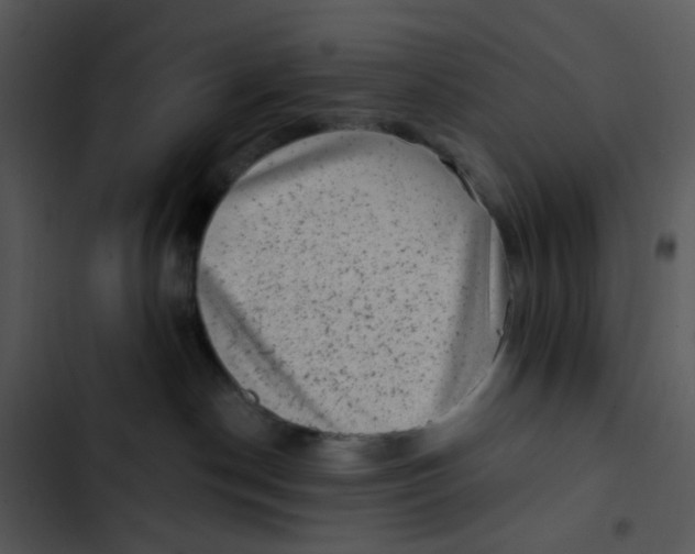 X0000102830190200809081204