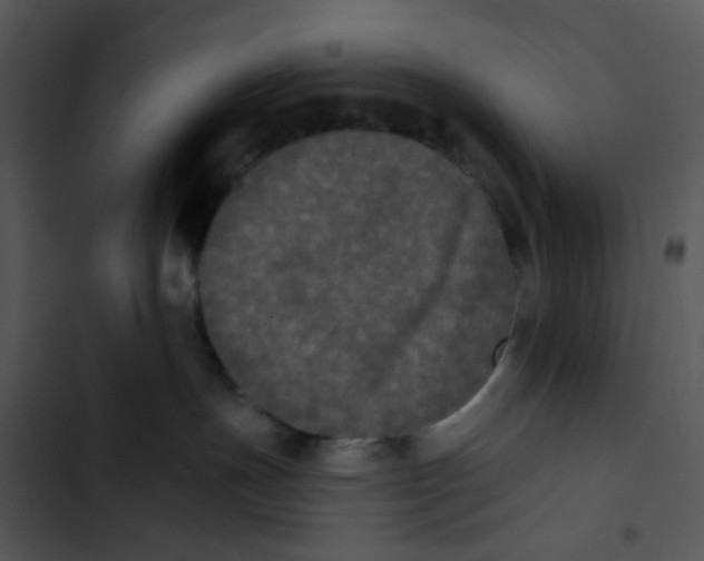 X0000102830191200809081204