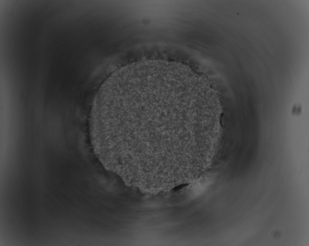 X0000102830192200809081204