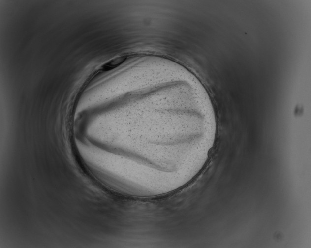 X0000102830193200809081204
