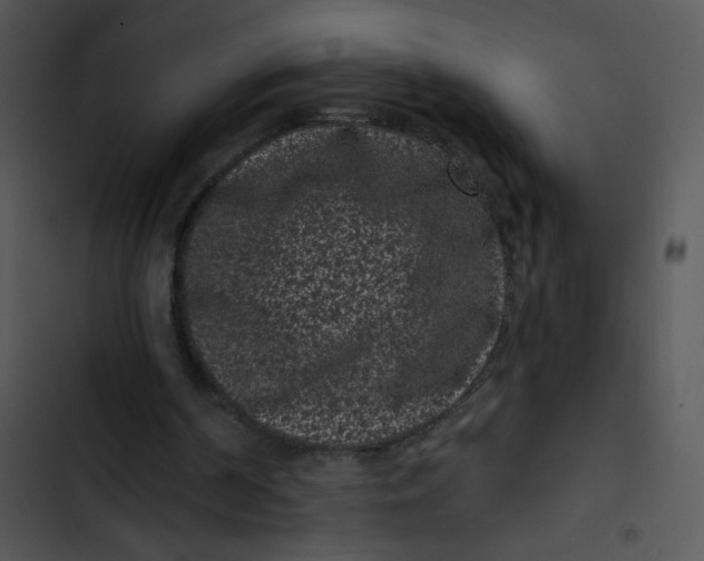 X0000102830194200809081204
