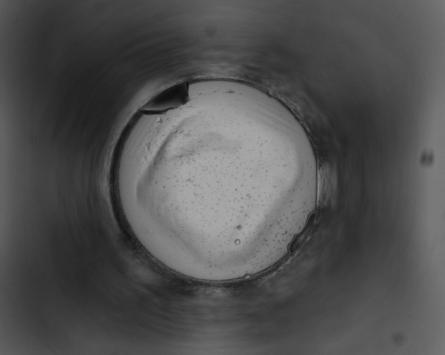X0000102830195200809081204