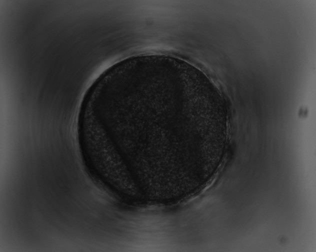 X0000102830196200809081204