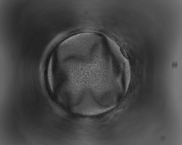 X0000102830197200809081204