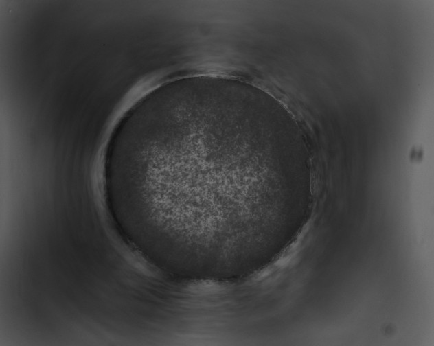 X0000102830198200809081203