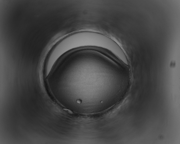 X0000102830199200809081203