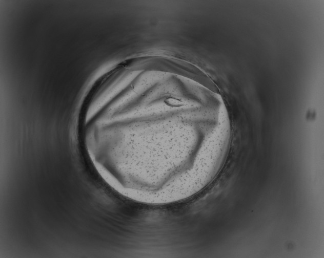 X0000102830200200809081203