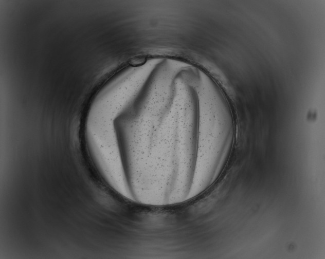 X0000102830201200809081203