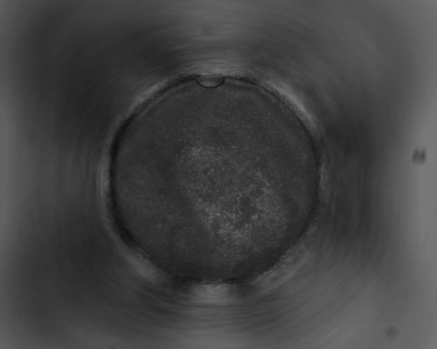 X0000102830202200809081203