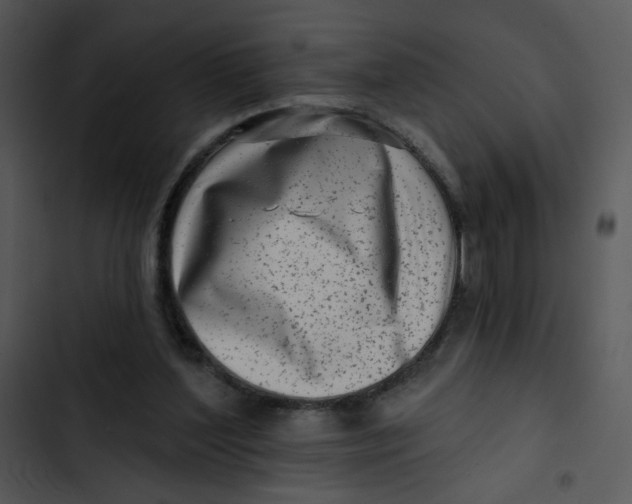 X0000102830204200809081203