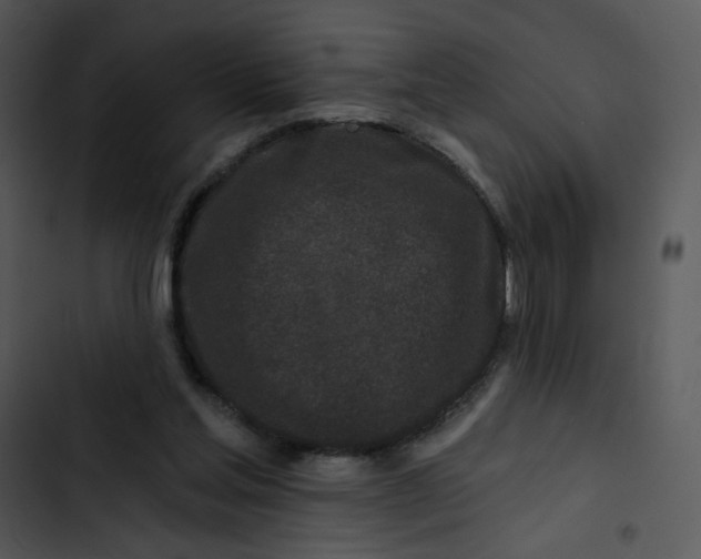 X0000102830205200809081203