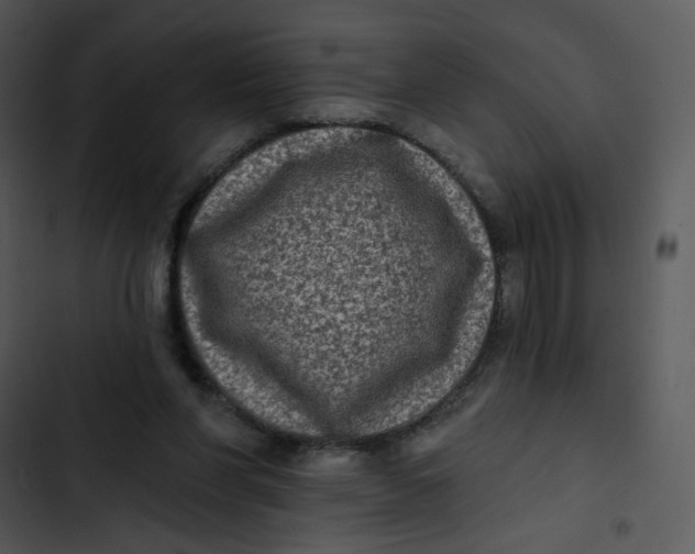 X0000102830206200809081203