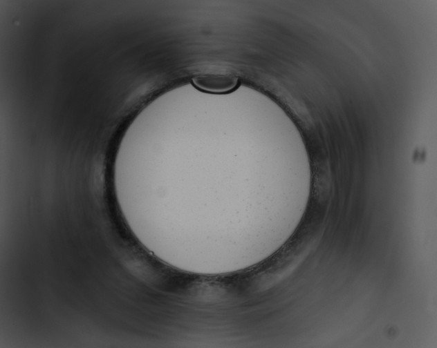 X0000102830207200809081203