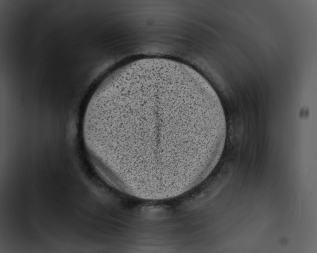 X0000102830208200809081203