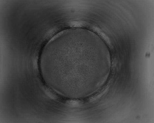 X0000102830209200809081203