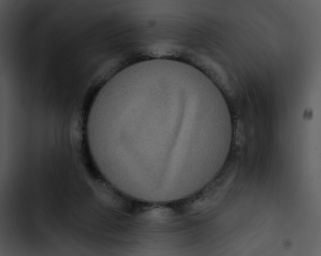X0000102830210200809081203