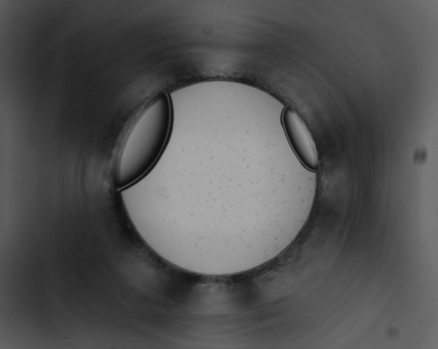 X0000102830211200809081203
