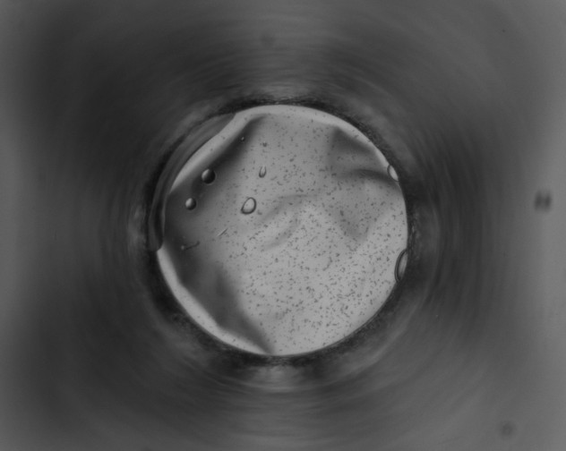 X0000102830212200809081203